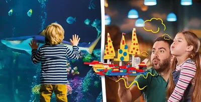 Kombiniere deinen Besuch im LEGOLAND Discovery Centre mit einem Besuch im SEA LIFE Oberhausen und spare mit dieser Kombi-Eintrittskarte Geld. Erkunde einen Indoor-LEGO-Spielplatz und entdecke die Unterwasserwelt.